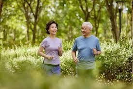 森林狼外线火力全开